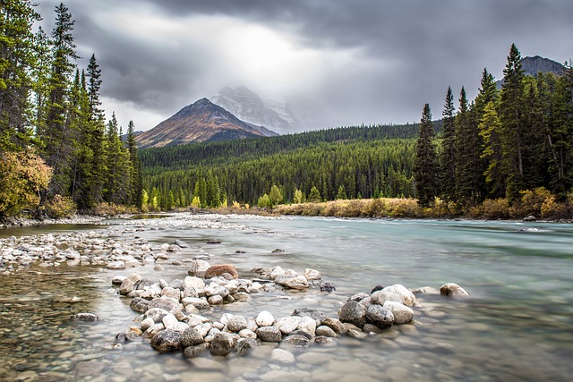 Préparez votre équipement pour une expérience de kayak inoubliable