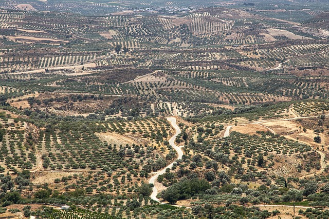 Découvrez la Plage d'Elliotis, un paradis insoupçonné à Rhodes