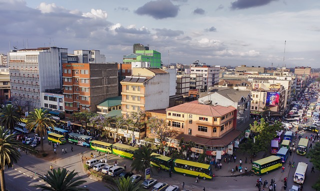 Histoire et objectif du Giraffe Centre de Nairobi