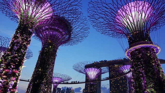 Découvrez les origines du Festival de la Nourriture de Singapour